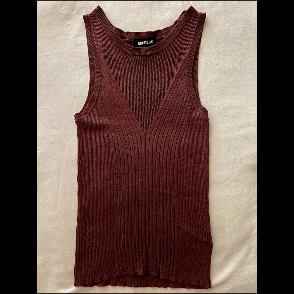 Express Sweater Tank